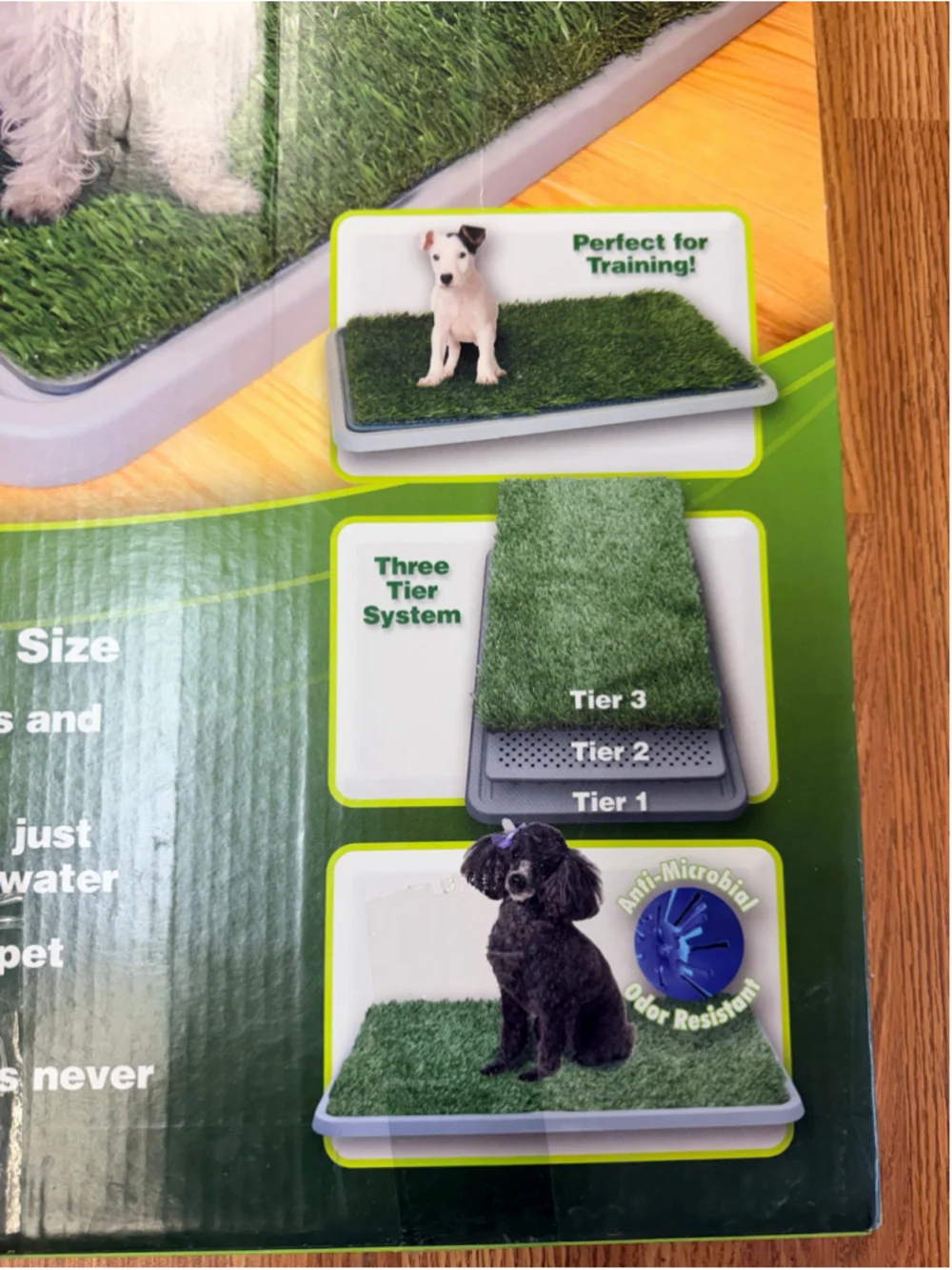 American Kennel Club potty patch